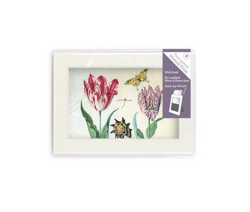 Paspartú con reproducción, S, Dos tulipanes con concha e insectos, Marrel