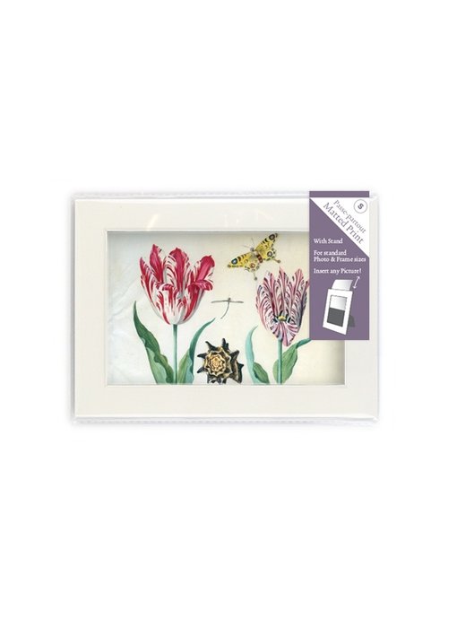 Passe-partout met reproductie, S, Twee tulpen met schelp en insecten, Marrel