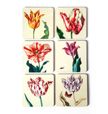 Coasters, Ksenia tulips