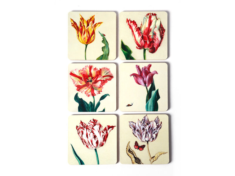 Posavasos, tulipanes Ksenia