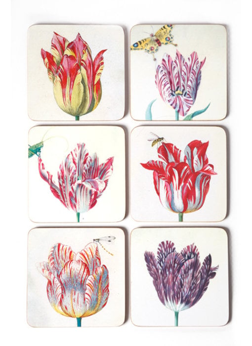 Posavasos, Tulipanes, Marrel