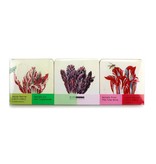 Coasters, Tulips, Marrel