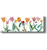 Fridge magnet, tulips Panorama