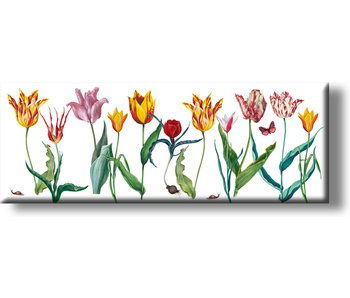 Imán de nevera, tulipanes Panorama