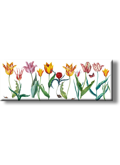 Fridge magnet, tulips Panorama