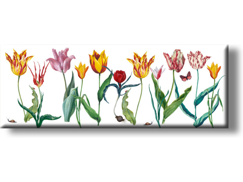 Imán de nevera, tulipanes Panorama