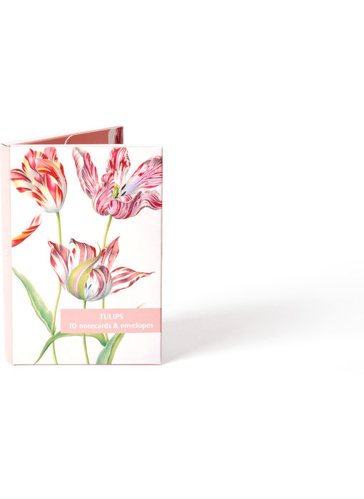 Carpeta de tarjetas, Tulipanes Fitzwilliam