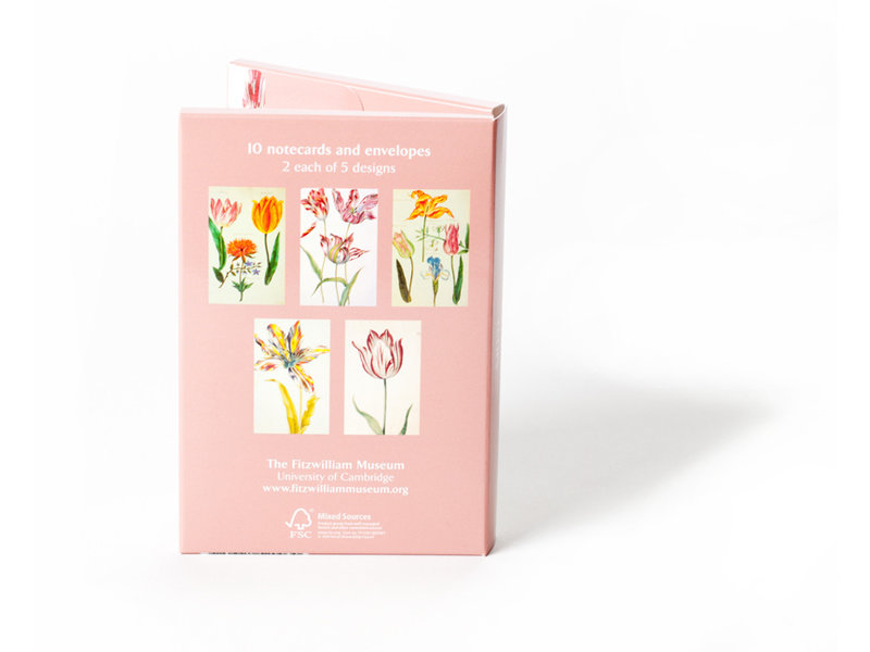 Carpeta de tarjetas, Tulipanes Fitzwilliam