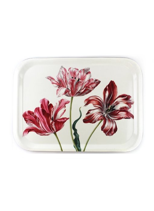 Tray Laminate large, Three tulips, Merian