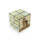 Cubo magico, Azulejos azules de Delft con gato