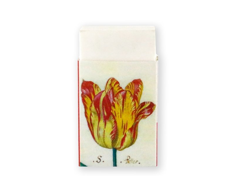 Eraser, Tulips, Marrel