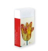 Eraser, Tulips, Marrel