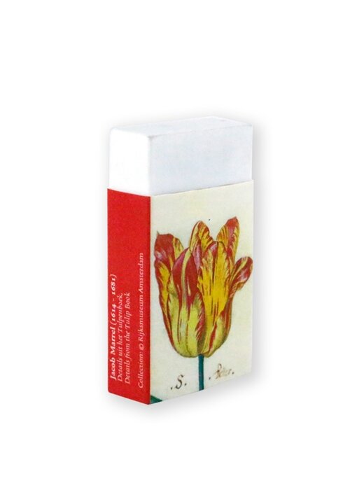 Gomme, tulipes, marrel