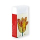 Borrador, tulipanes, marrel
