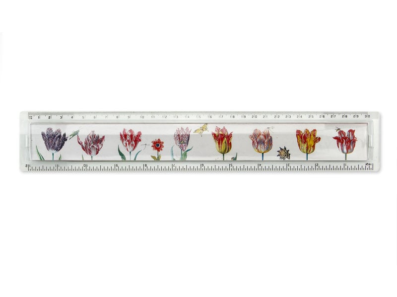 Ruler, Tulips, Marrel