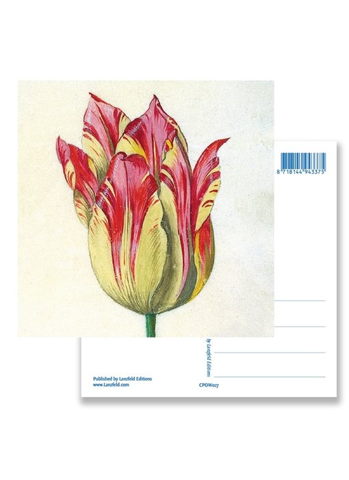 Carte postale, jaune avec tulipe rouge, Marrel