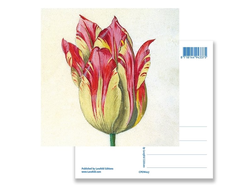 Carte postale, jaune avec tulipe rouge, Marrel