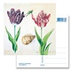 Postal, tulipanes, conchas e insectos. Marrel