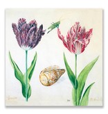 Postkarte, Tulpen, Muschel und Insekten. Marrel