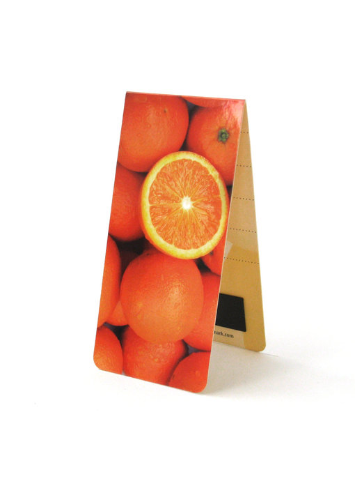 Magnetic Bookmark, Oranges