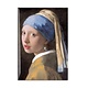 Koelkastmagneet, Meisje met de parel, Vermeer