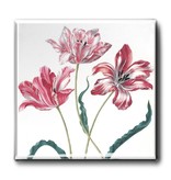 Fridge Magnet, Three Tulips, Merian