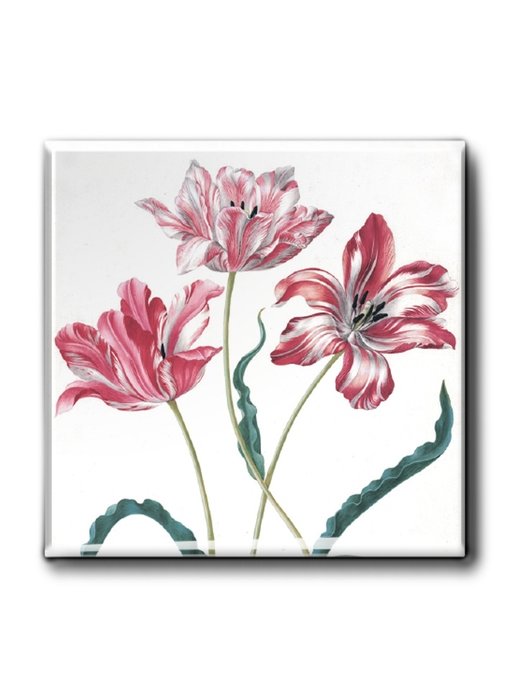 Fridge Magnet, Three Tulips, Merian