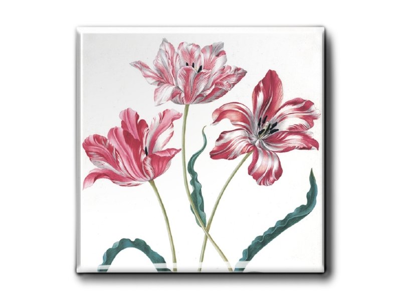 Fridge Magnet, Three Tulips, Merian