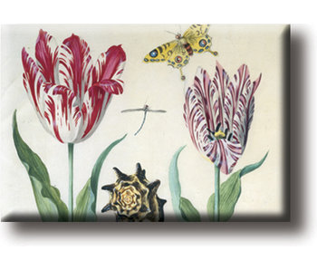 Fridge magnet, Two tulips, shell and insects, Marrel