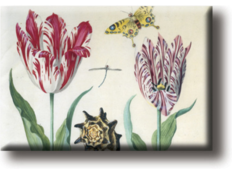 Kühlschrankmagnet, Zwei Tulpen, Muschel und Insekten, Marrel