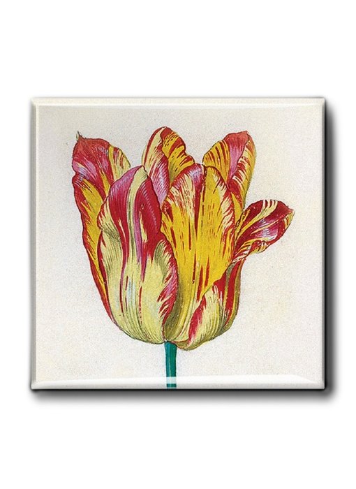 Aimant pour réfrigérateur, Tulipe jaune rouge, Marrel