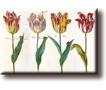 Kühlschrankmagnet, vier Tulpen mit Insekten, Marrel