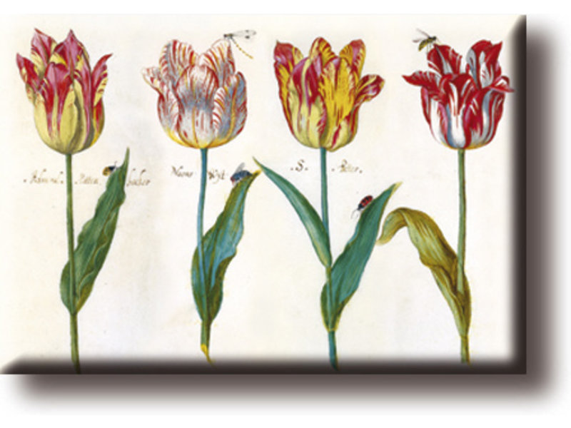 Aimant pour réfrigérateur, quatre tulipes avec insectes, Marrel