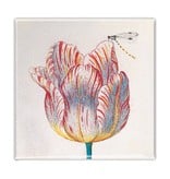 Fridge Magnet, White Tulip with Insect, Marrel