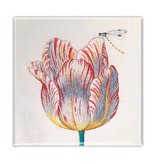 Koelkastmagneet, Witte tulp met Insect, Marrel