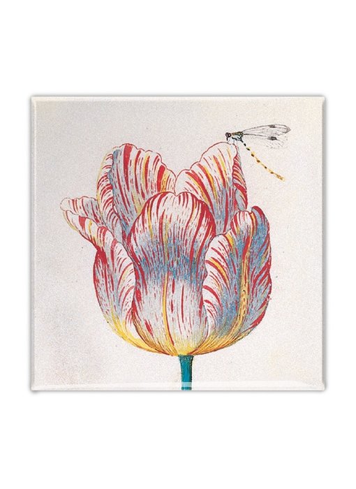 Aimant pour réfrigérateur, tulipe blanche avec insecte, Marrel