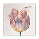 Aimant pour réfrigérateur, tulipe blanche avec insecte, Marrel