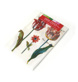 Tissu pour lentilles, 10 x 15 cm, Deux tulipes avec insectes, Marrel