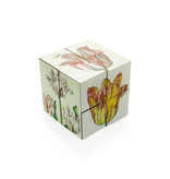 Cubo Mágico, Cubo de Arte de Tulipanes Holandeses