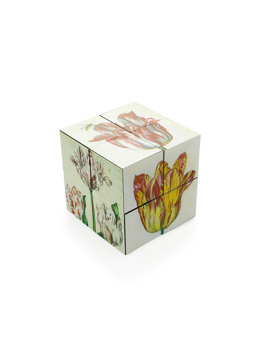 Cubo Mágico, Cubo de Arte de Tulipanes Holandeses, Marrel