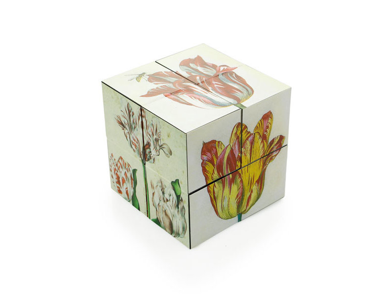 Cubo Mágico, Cubo de Arte de Tulipanes Holandeses