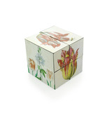 Cube magique, cube d'art des tulipes hollandaises