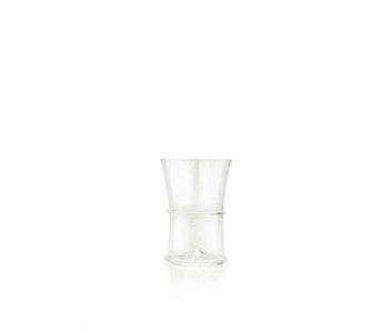 Helecho de vidrio, 9 cm, transparente