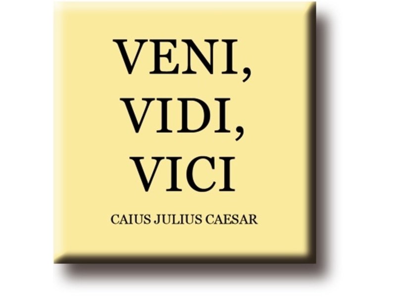 What does the Latin term veni, vidi, vici mean?