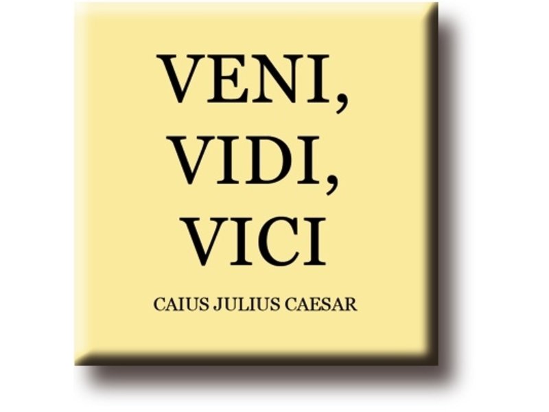 Veni, vidi, vici. A Latin phrase meaning I came, I saw , I