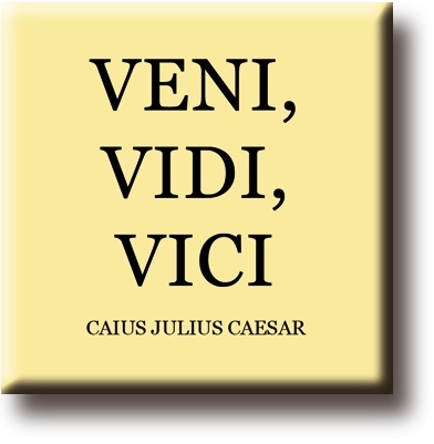  Veni Vidi Vici (I Came, I Saw, I Conquered) Necklace