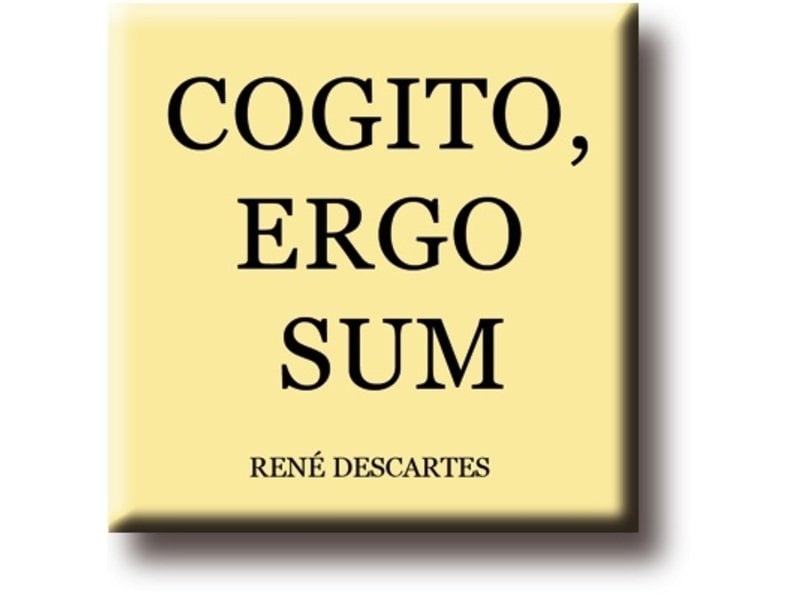 Aimant frigo, René Descartes, Cogito, Ergo Sum - Museum-webshop