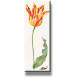 Fridge Magnet, Tulip with insects