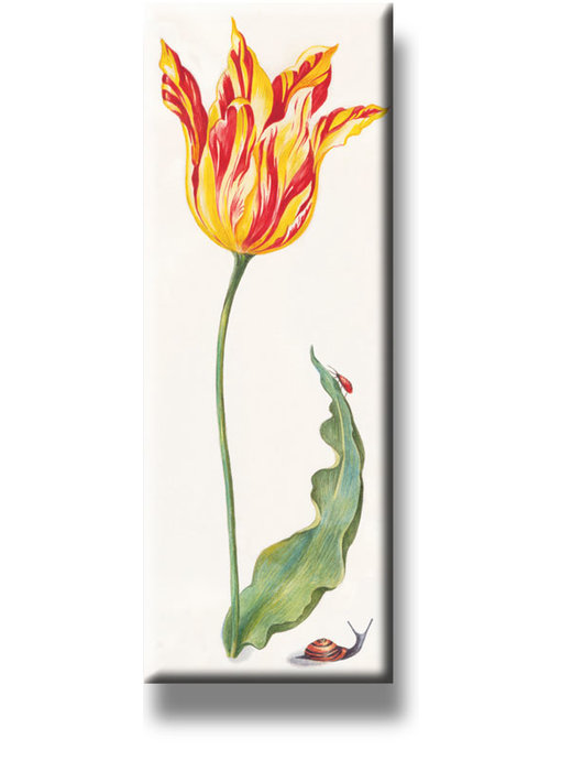 Fridge Magnet, Tulip with insects