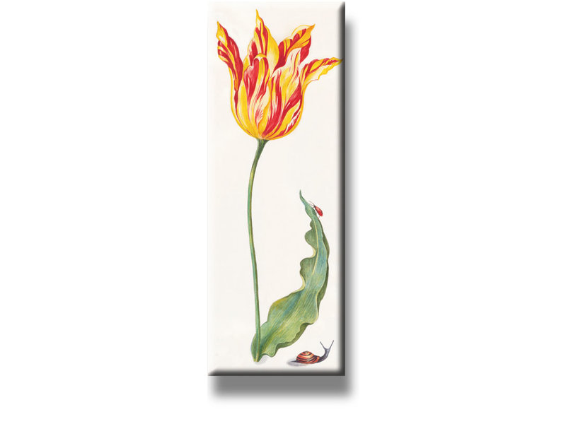 Fridge Magnet, Tulip with insects
